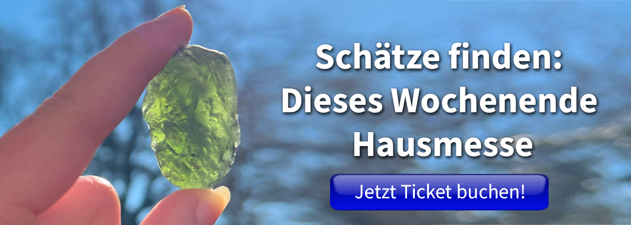 de_25_03_hausmesse_moldavit