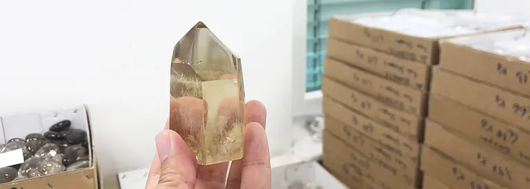 hausmesse_25_09_citrin