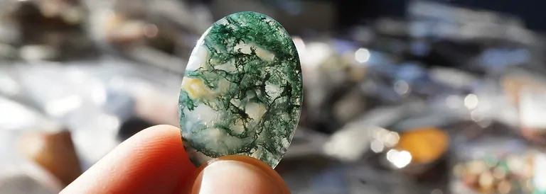 hausmesse_25_09_moosachat