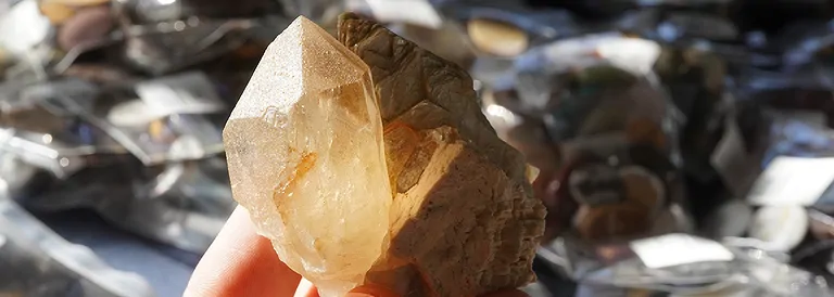 hausmesse_25_09_schnapp