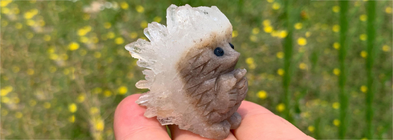 2026_07_igel