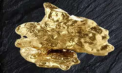 gold_26