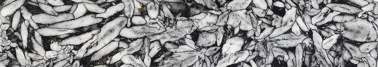 pinolith_banner