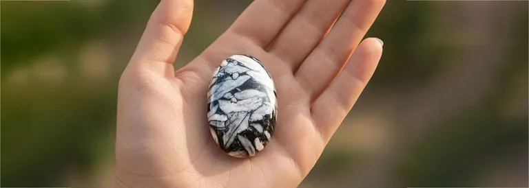 pinolith_hand
