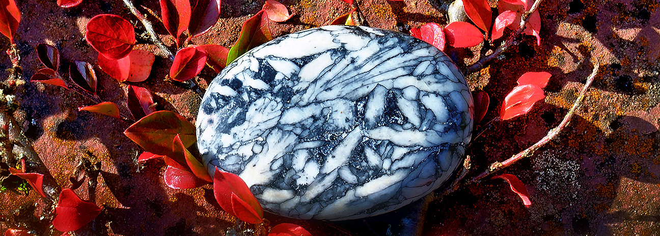 pinolith_header