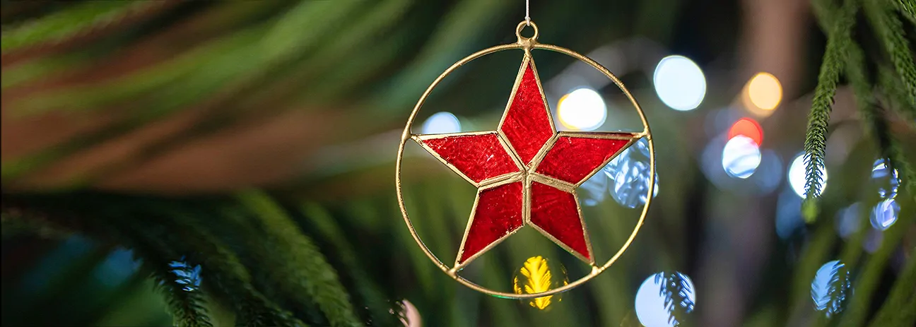 newsletter_weihnachten