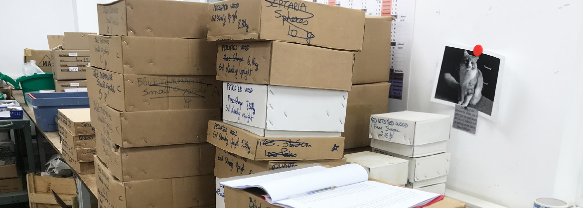 2023-03-hausmesse-madagaskar-mineralien