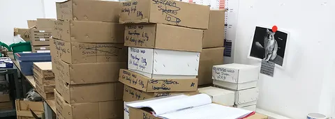 2023-03-hausmesse-madagaskar-mineralien