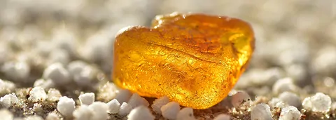 2023-09-hausmesse-bernstein-botschafter-des-lichts