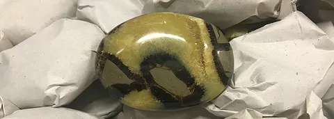 seifenstein_septarie