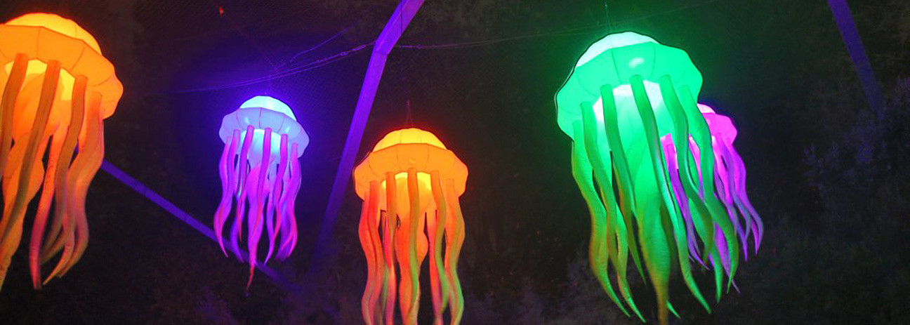 24_10_whm_traumpfade