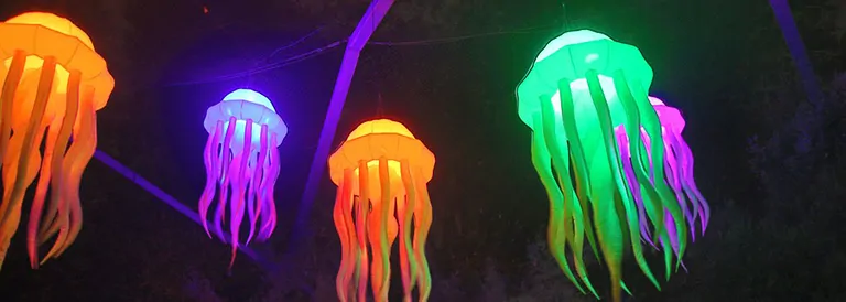 24_10_whm_traumpfade