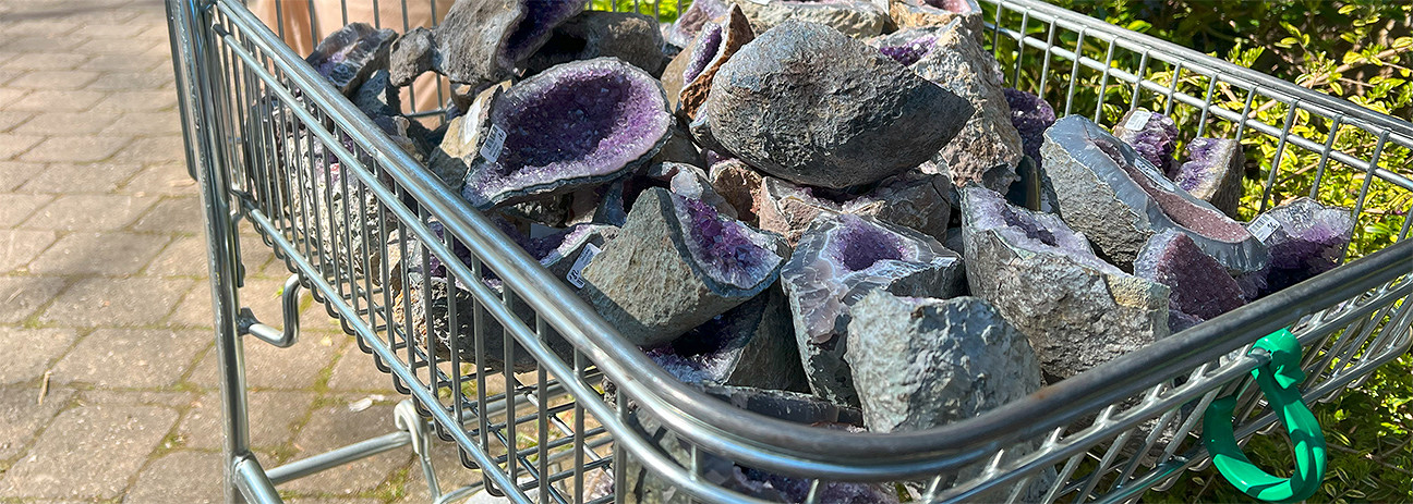 2025_03_hausmesse_wagen