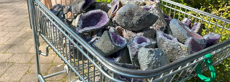 2025_03_hausmesse_wagen