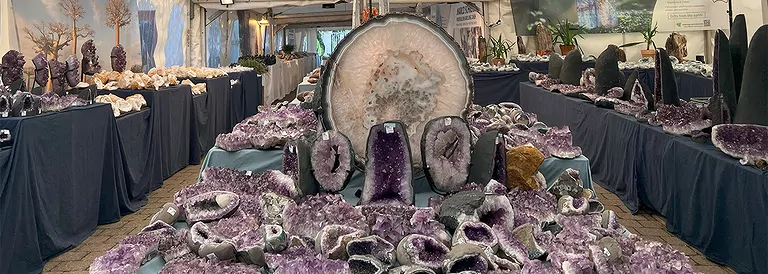 2025_03_hausmesse_zeltvoll