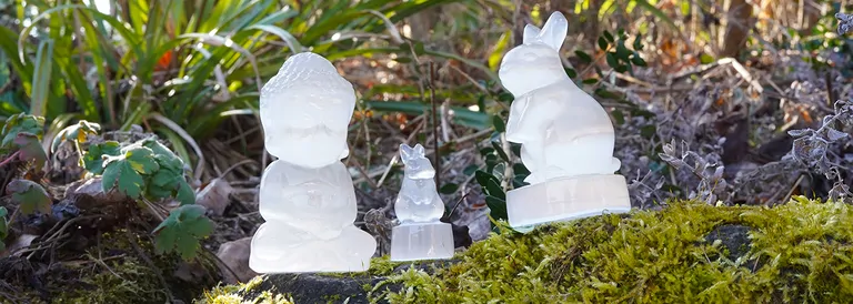 Selenit%20HM%20Blog%2025_