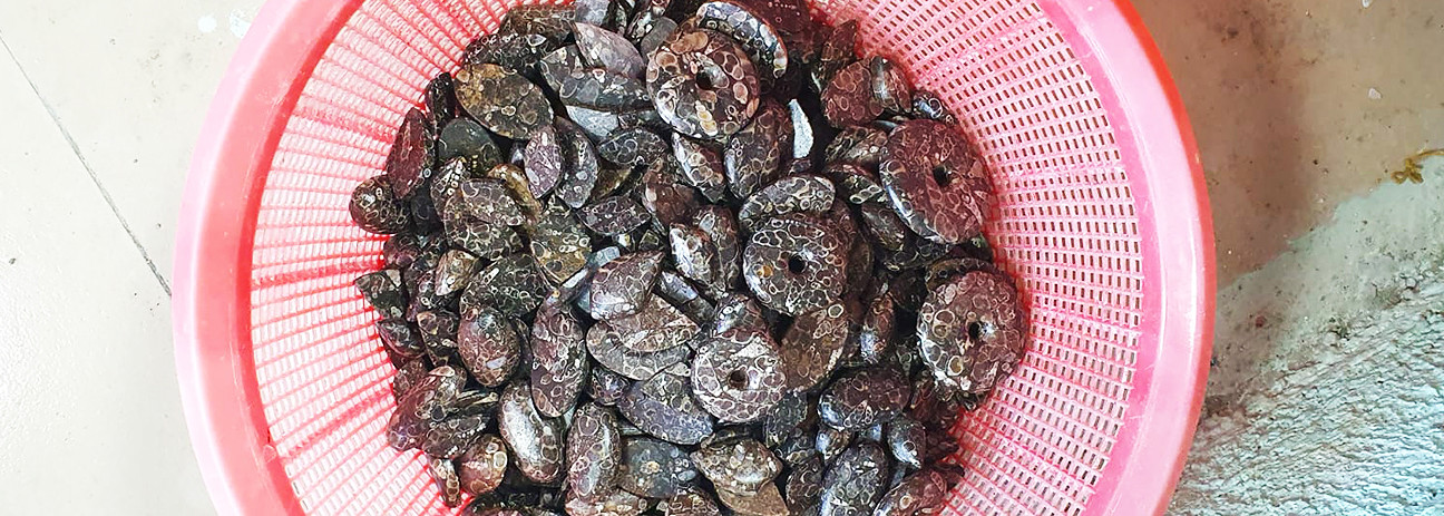 25_07_hausmesse_turitella