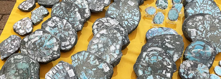 versteinertes Holz Larimar