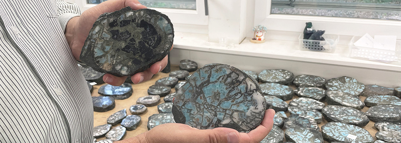 Bois p&eacute;trifi&eacute; avec Larimar