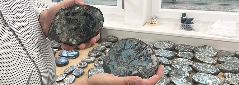 Bois pétrifié avec Larimar