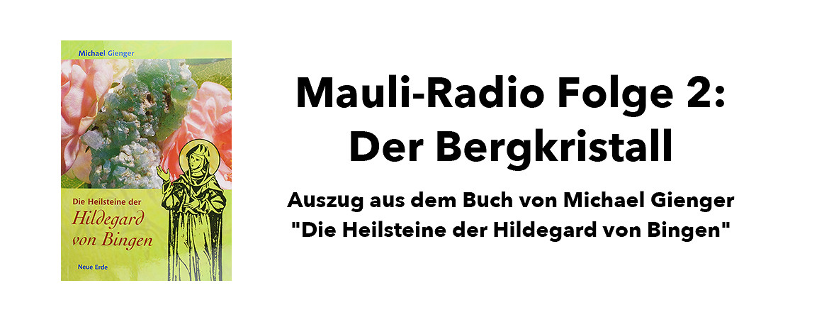 buchvorstellung_folge2
