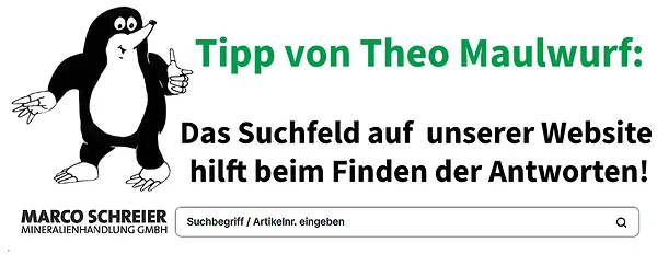 de_quiz_tipp_theo