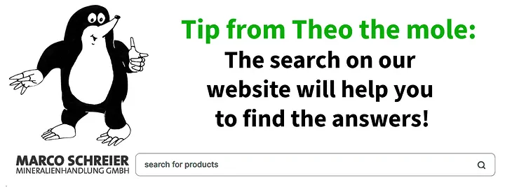 en_quiz_tipp_theo