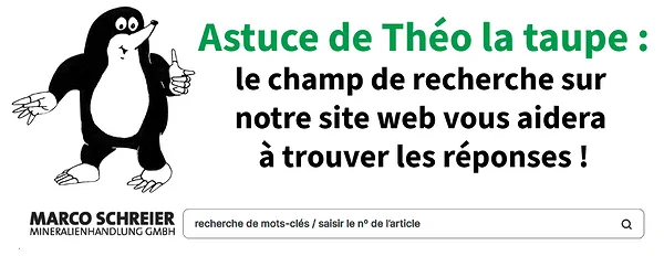 fr_quiz_tipp_theo