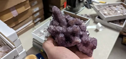 kaktusquarz