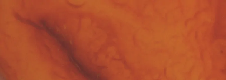 carneol-mineralien-grosshandel-edelsteine