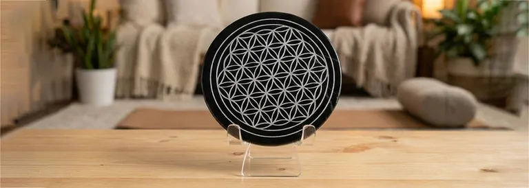 schungit_lebensblume