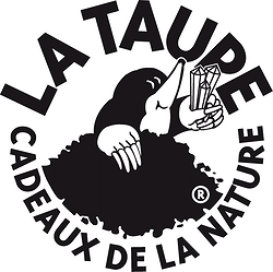 fr_le_taupe