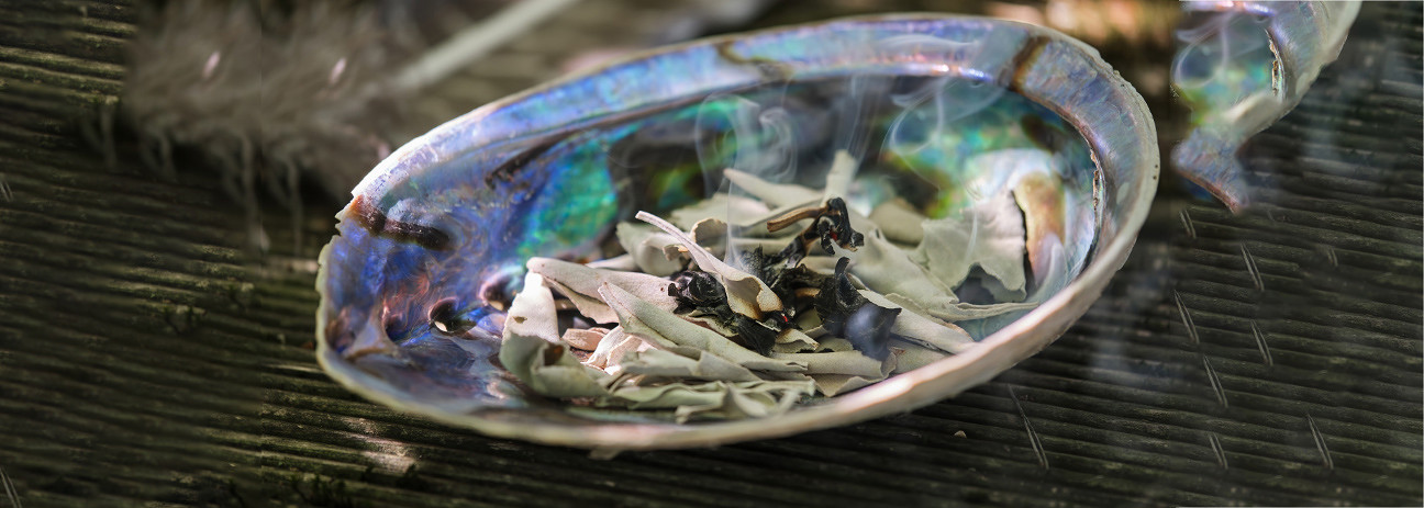 reinigen_in_pauamuschel