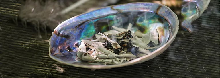 reinigen_in_pauamuschel