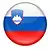 flagge_slowakei