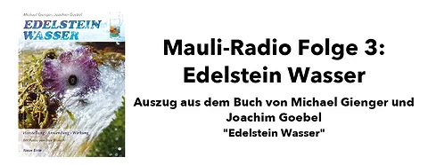 header_marcos_podcast_folge-3