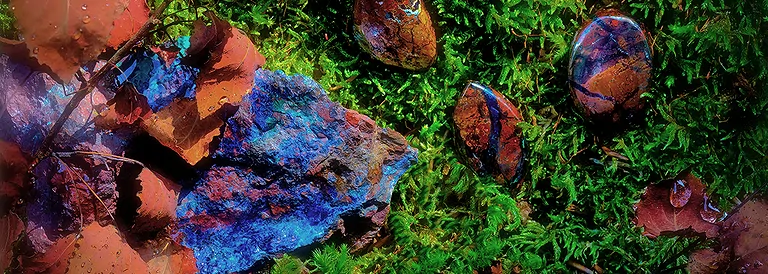 sdm-11-zarinit-content