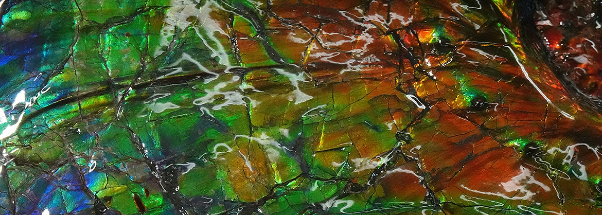 ammolith_kanada_oberflaeche