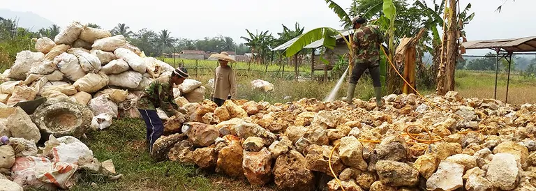 versteinerte_koralle_rohsteine_indonesien