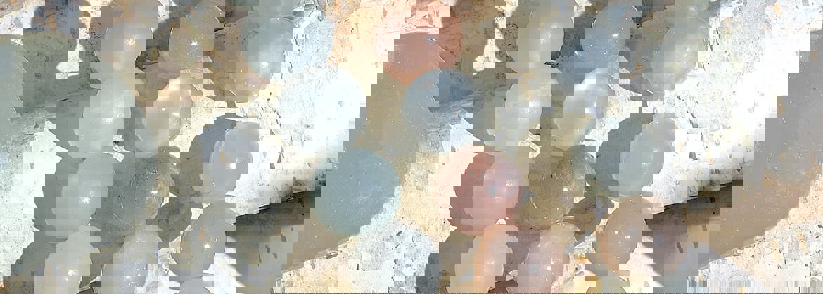 mondstein_januar_2018