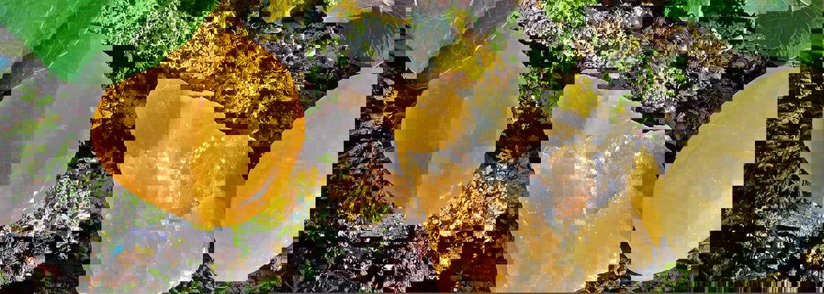 orangencalcit_maerz_2018