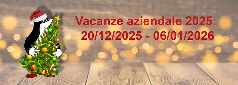2025_12_vacanze