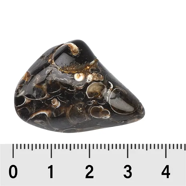 Pierres roulées Agate (Turitellas), 2,5 - 4,0cm (XL) | Marco Schreier