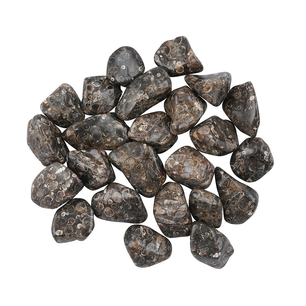 Pietre burattate di agata (agata turitella), 2,5 - 4,0 cm (XL) | Marco Schreier