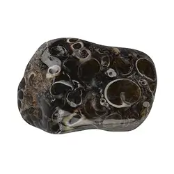 010010203 Tumbled Stones Agate (Turitella Agate), 2,5 - 4,0cm (XL) | Marco Schreier
