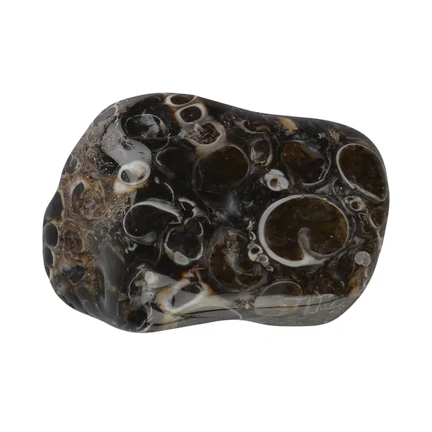 Pierres roulées Agate (Turitellas), 2,5 - 4,0cm (XL) | Marco Schreier