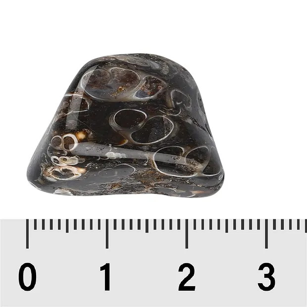 Trommelsteine Achat (Turitellaachat), 2,0 - 3,0cm (L) | Marco Schreier