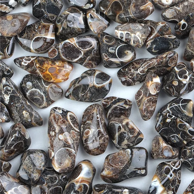 Tumbled Stones Agate (Turitella Agate), 2,0 - 3,0cm (L) | Marco Schreier