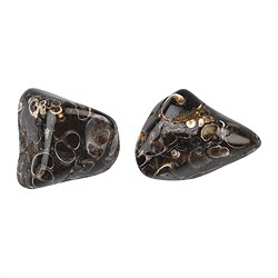010010303 Tumbled Stones Agate (Turitella Agate), 2,0 - 3,0cm (L) | Marco Schreier
