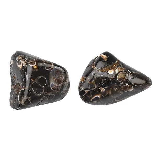 Tumbled Stones Agate (Turitella Agate), 2,0 - 3,0cm (L) | Marco Schreier